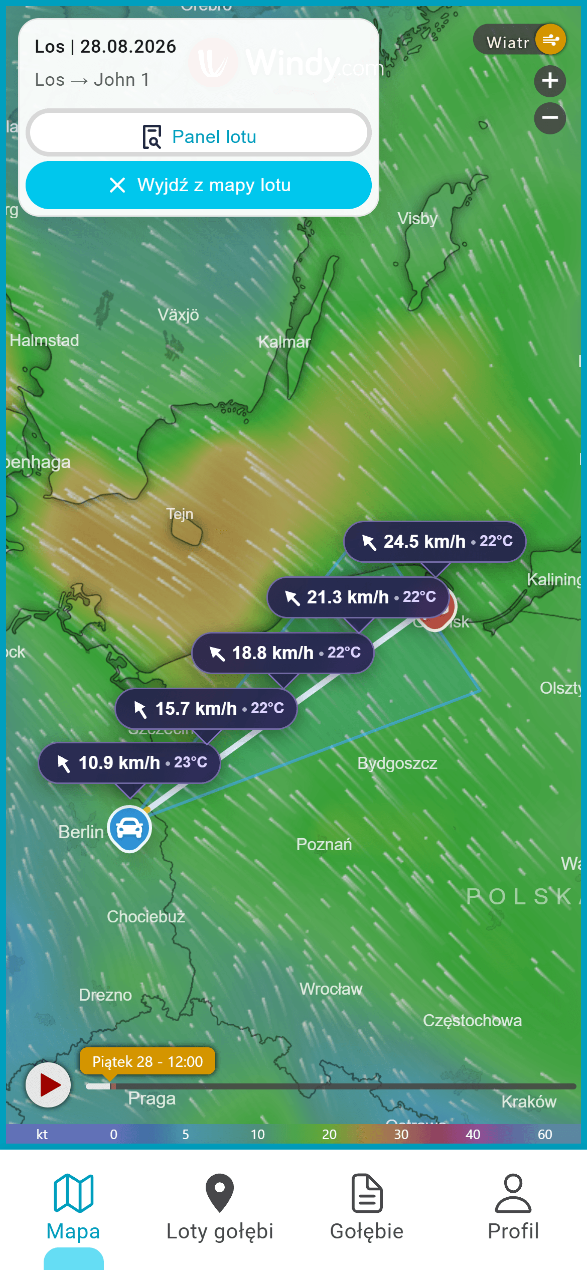 Wind layer on a Pigeon Map flight map