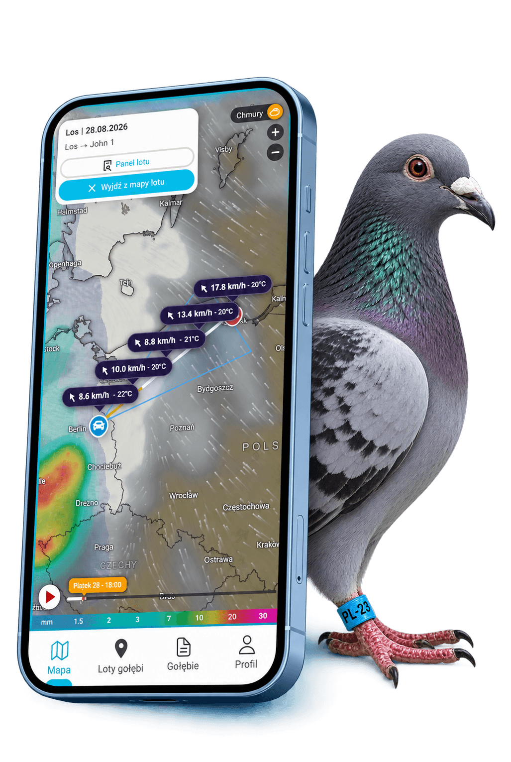 Pigeon beside a phone displaying the Pigeon Map flight map and weather analysis