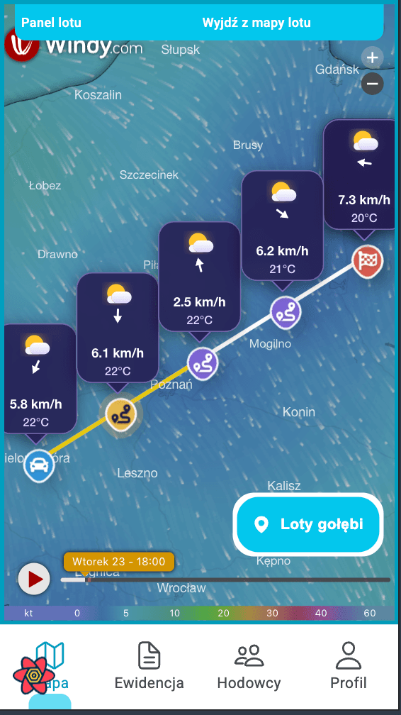 Windy mobile weather map in Pigeon Map